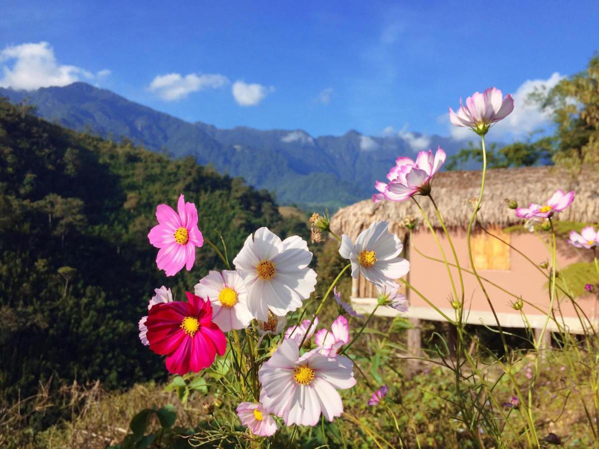 Chapa Farmstay - Mountain Retreat 사파 외부 사진
