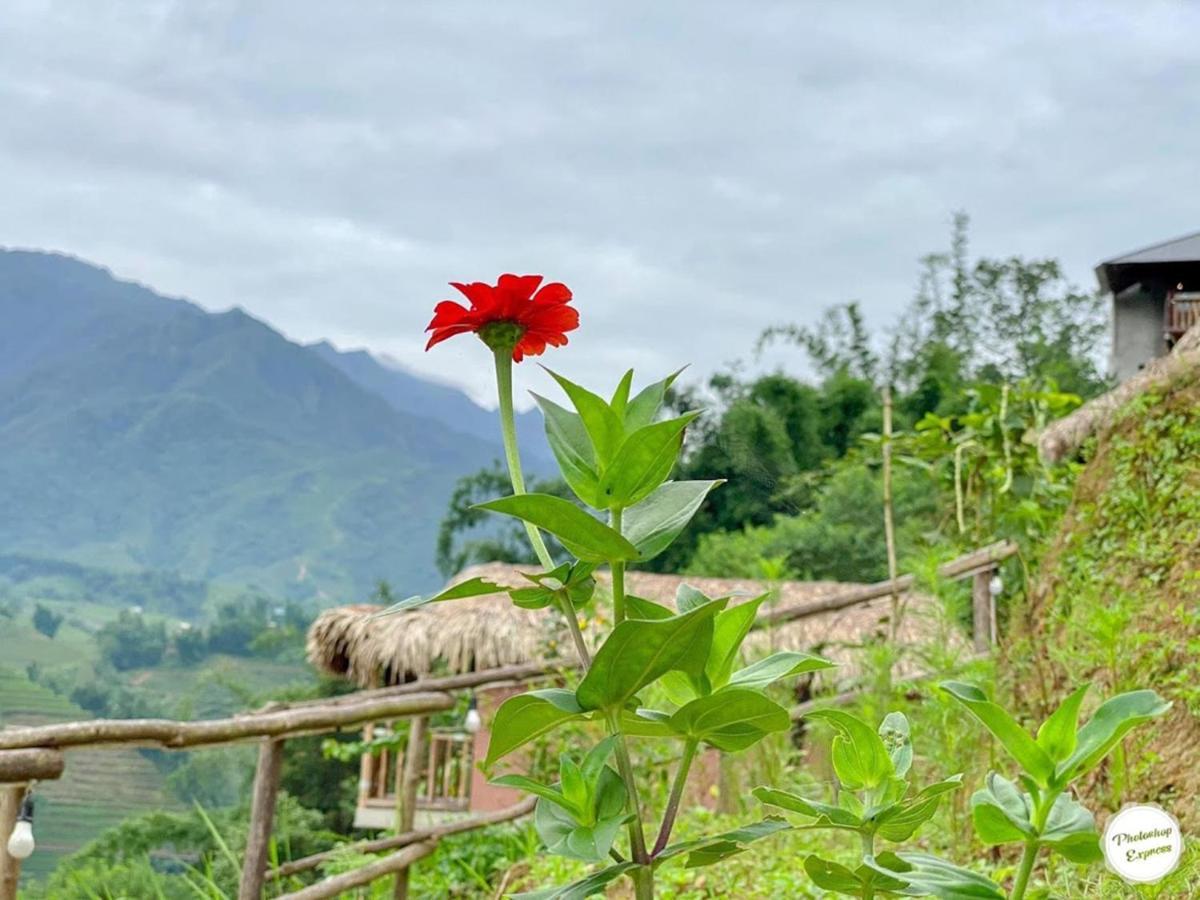 Chapa Farmstay - Mountain Retreat 사파 외부 사진