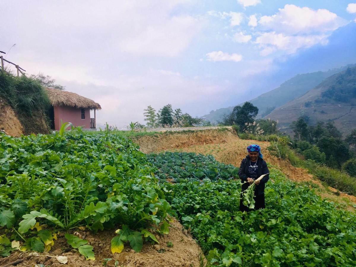 Chapa Farmstay - Mountain Retreat 사파 외부 사진
