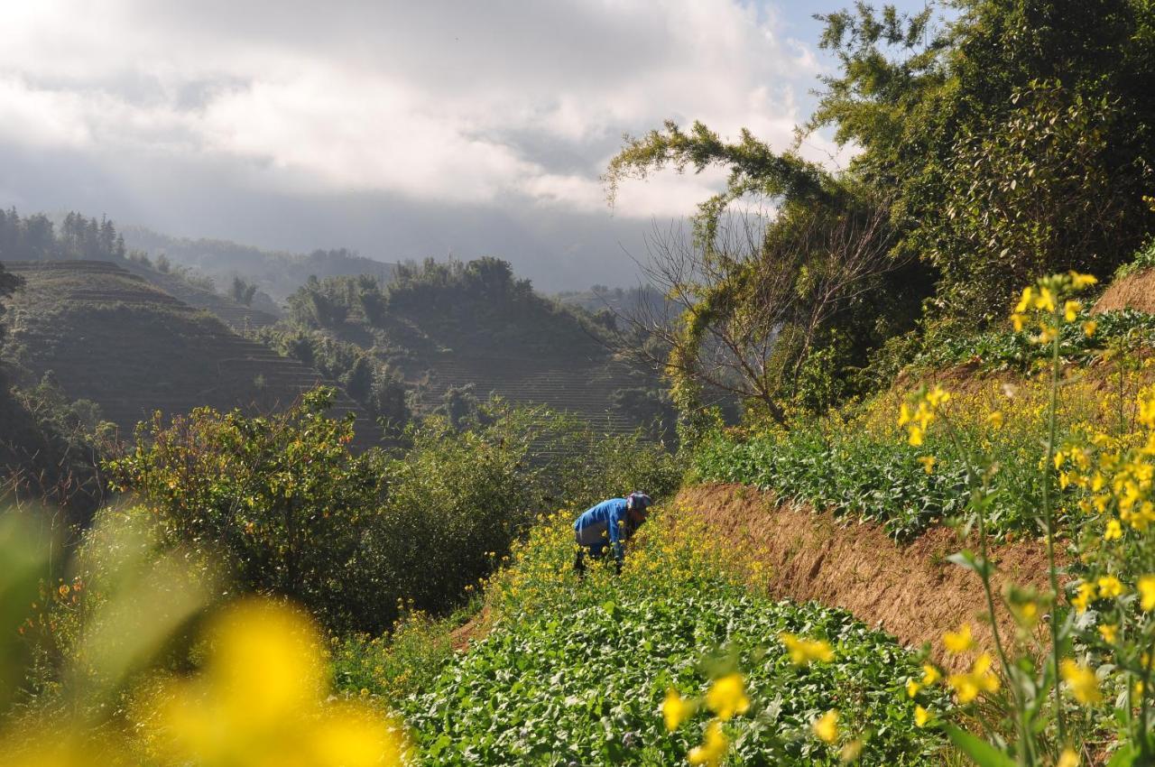Chapa Farmstay - Mountain Retreat 사파 외부 사진