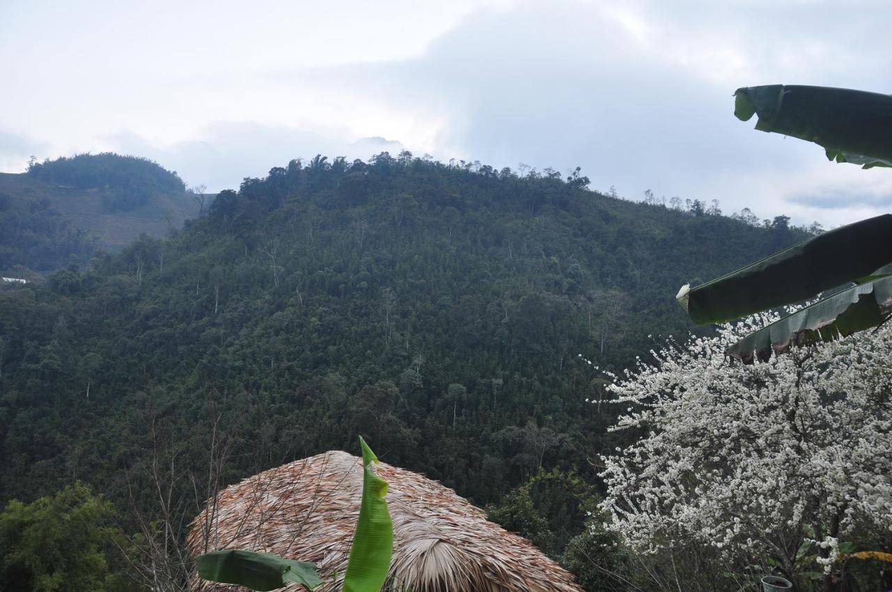 Chapa Farmstay - Mountain Retreat 사파 외부 사진